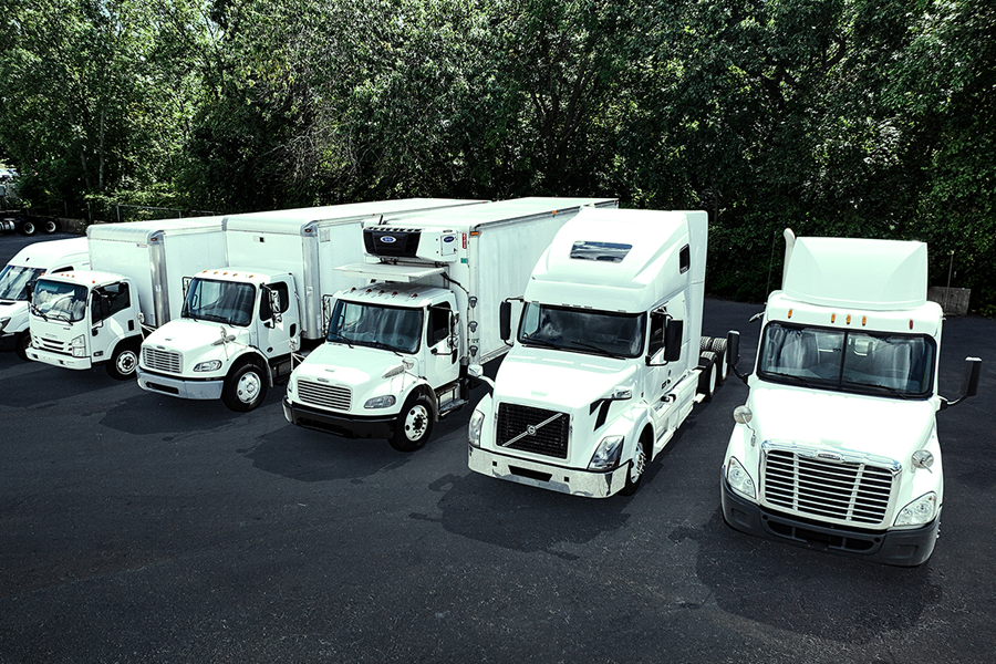 Alex Rentals fleet